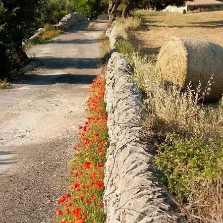 Farm stay Tenuta Margitello