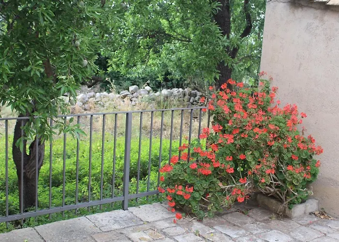Gospodarstwo agroturystyczne Tenuta Margitello *